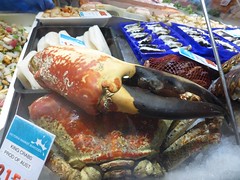 Giant crab at the markets